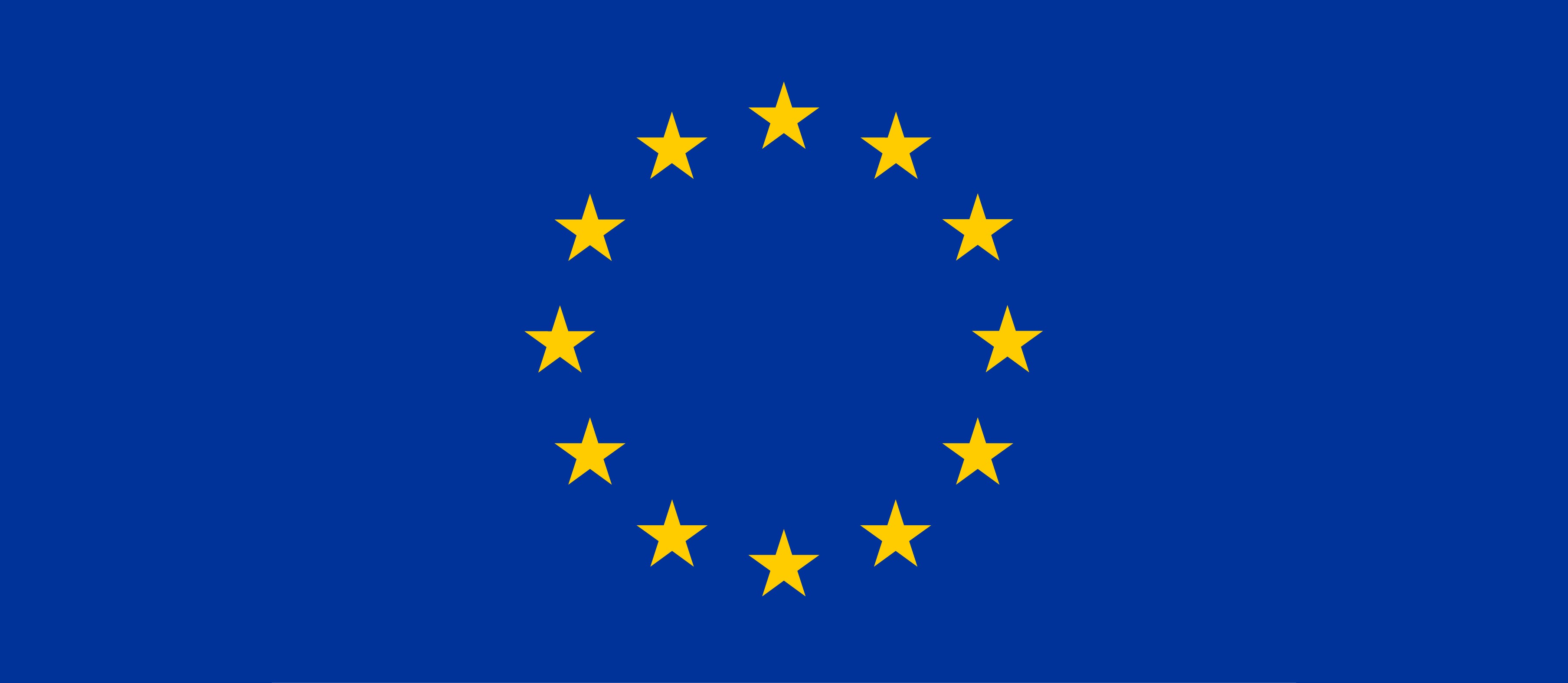 EU Flag Wide